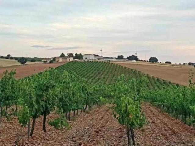 Terreno en venta en Cuarto María Juana, Munera