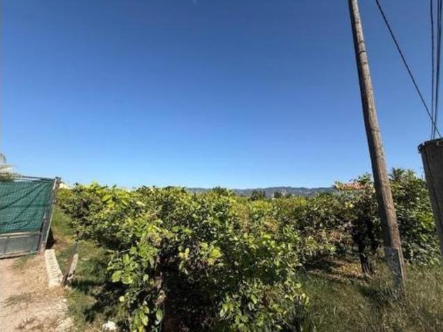Terreno en venta en Casas de la Huerta de Era Alta, Murcia