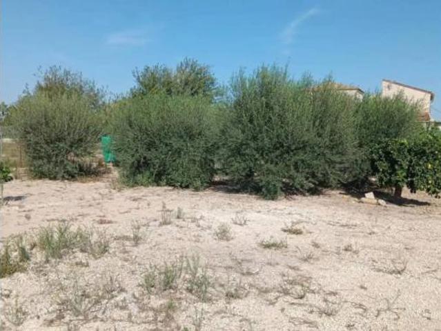 Terreno en venta en Los Pedriñanes, Murcia