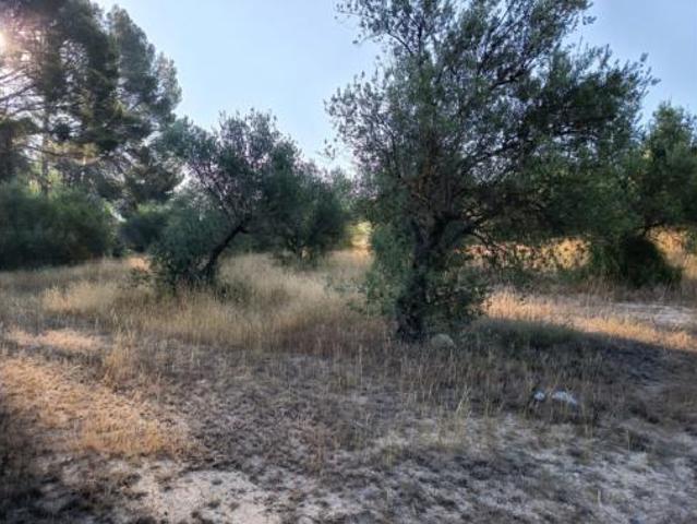 Terreno en venta en l'Alquerieta dels Capellans, Muro de Alcoy