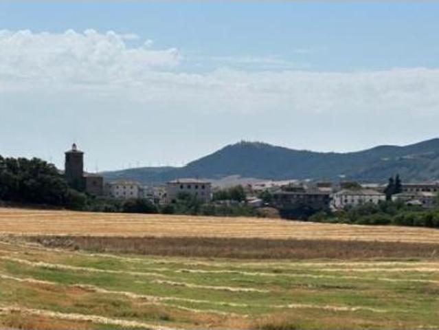 Terreno en venta en Muruzábal / Muruzabal, Muruzábal