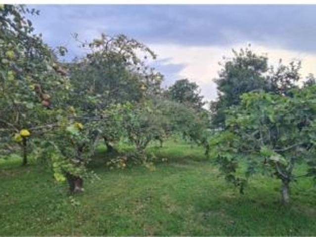 Terreno en venta en Narón