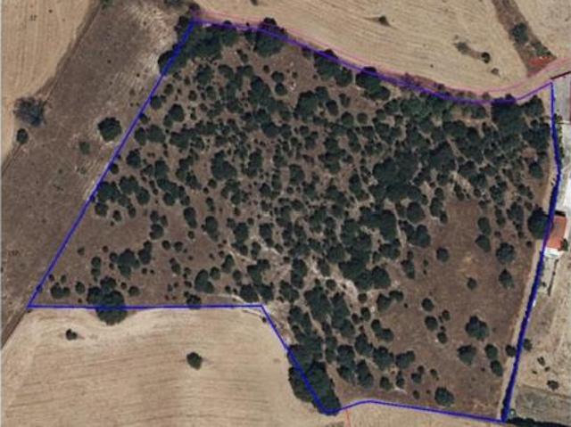 Terreno en venta en Carril Toledano, Navalcarnero