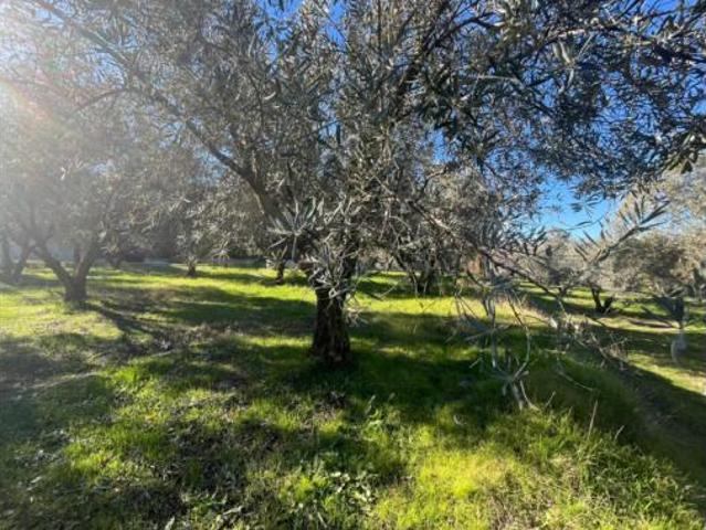 Terreno en venta en Nigüelas, Granada