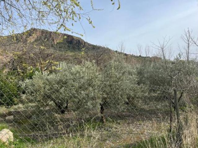 Terreno en venta en Nigüelas, Granada