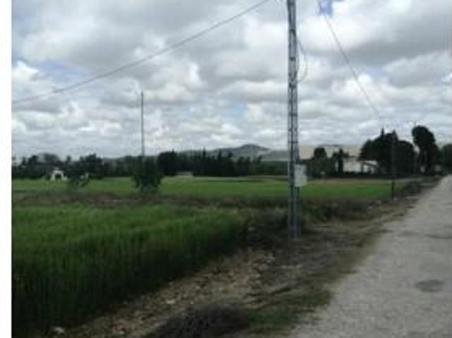 Terreno en venta en Ocaña, Toledo