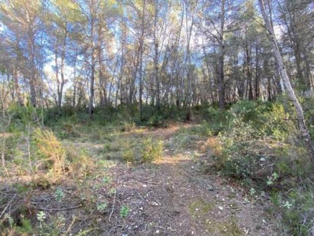 Terreno en venta en Moja, Olèrdola