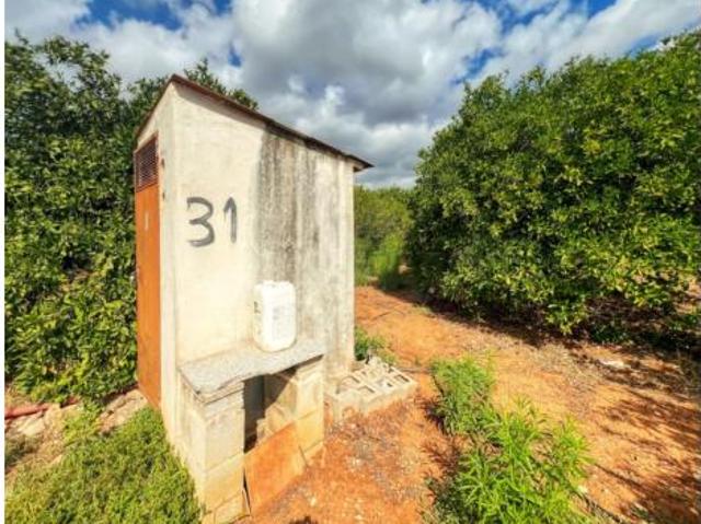 Terreno en venta en Oliva, València / Valencia
