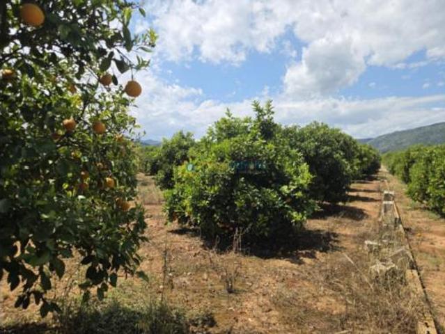 Terreno en venta en Oliva, València / Valencia