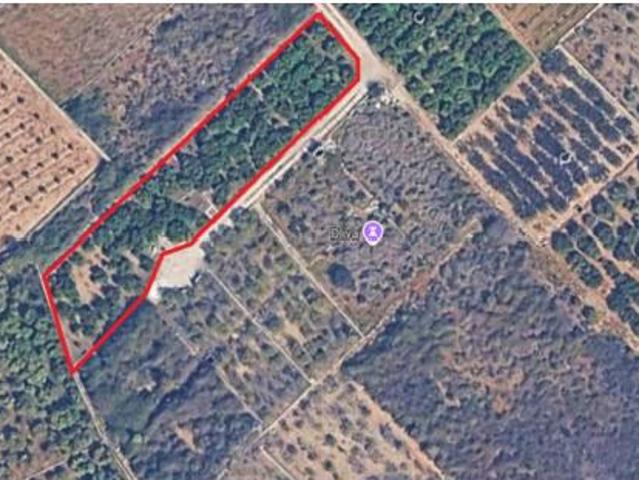 Terreno en venta en Oliva, València / Valencia