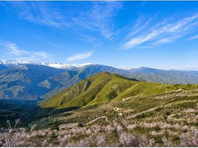 Terreno en venta en Alcázar, Órgiva