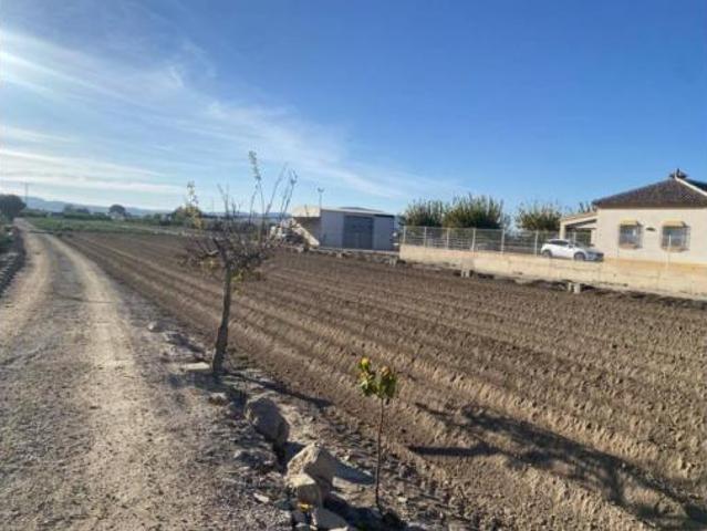 Terreno en venta en Redován, Alacant / Alicante