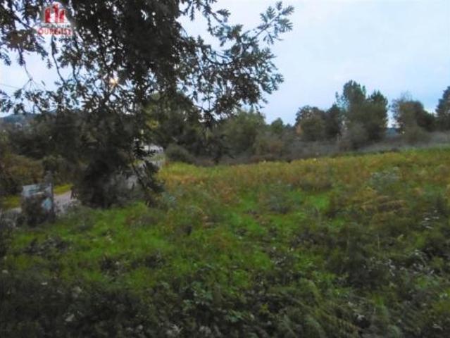 Terreno en venta en Velle, Ourense