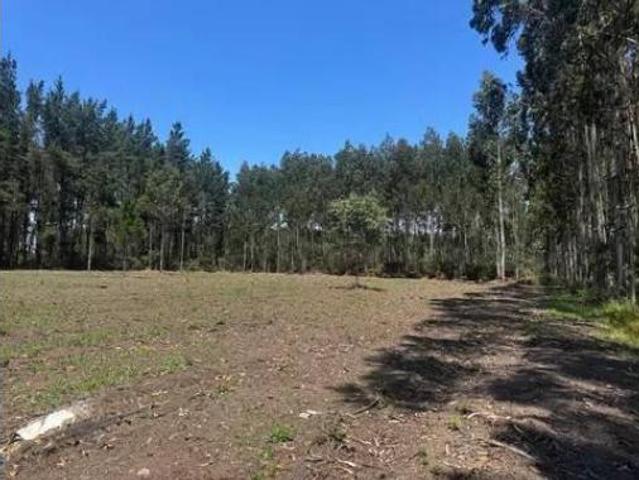 Terreno en venta en Outeiro de Rei