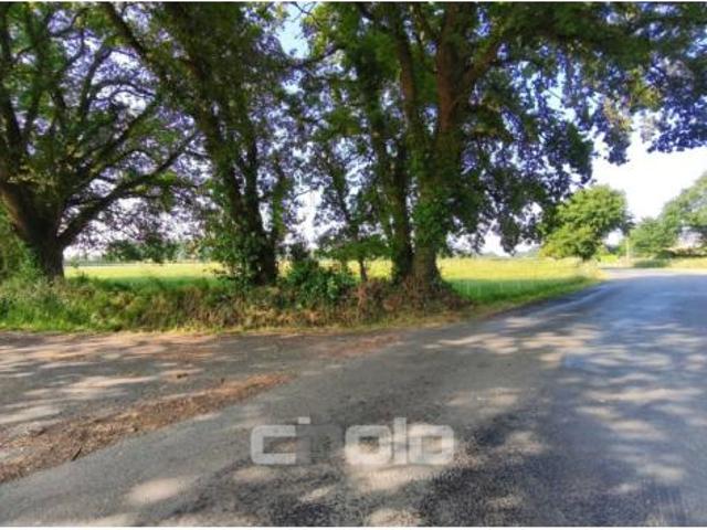 Terreno en venta en O Rasco, Outeiro de Rei