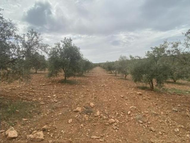 Terreno en venta en Padul, Granada