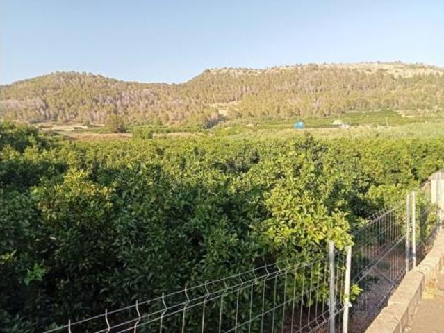 Terreno en venta en Urbanització Monterrei, Palma de Gandía
