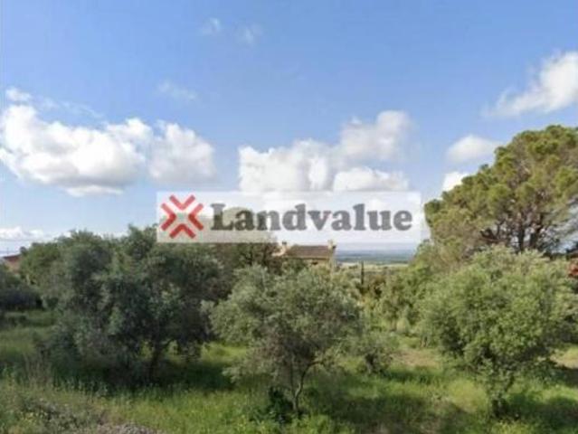 Terreno en venta en els Olivars, Pau