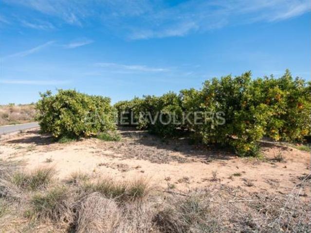 Terreno en venta en Pedralba