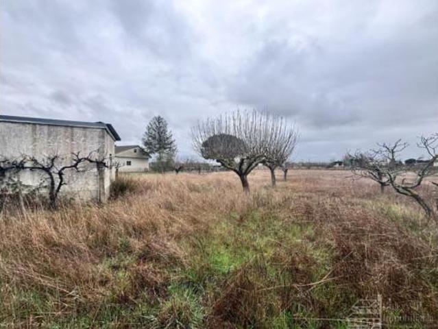 Terreno en venta en Nuevo Naharros, Pelabravo