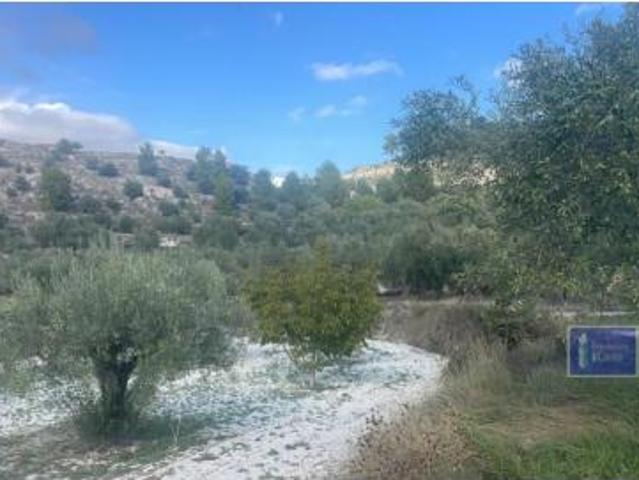 Terreno en venta en Penàguila, Alacant / Alicante