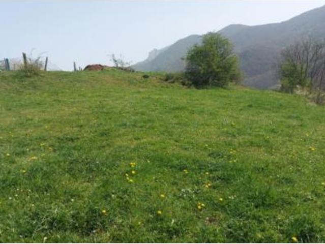 Terreno en venta en Caloca, Pesaguero