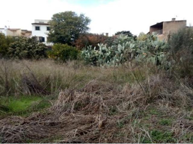 Terreno en venta en Petra, Illes Balears