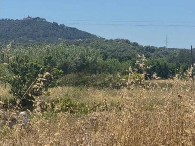 Terreno en venta en Petra, Illes Balears