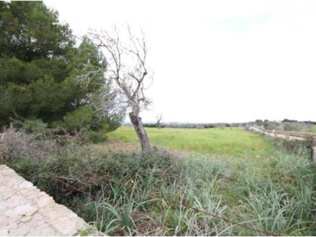 Terreno en venta en Petra, Illes Balears