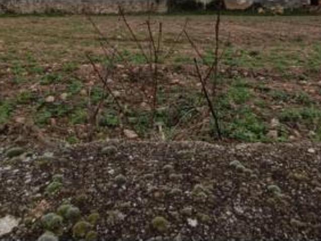 Terreno en venta en Baroja-Zumentu, Peñacerrada-Urizaharra