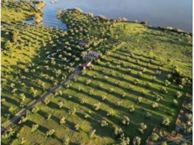 Terreno en venta en Peñarroya-Pueblonuevo, Córdoba
