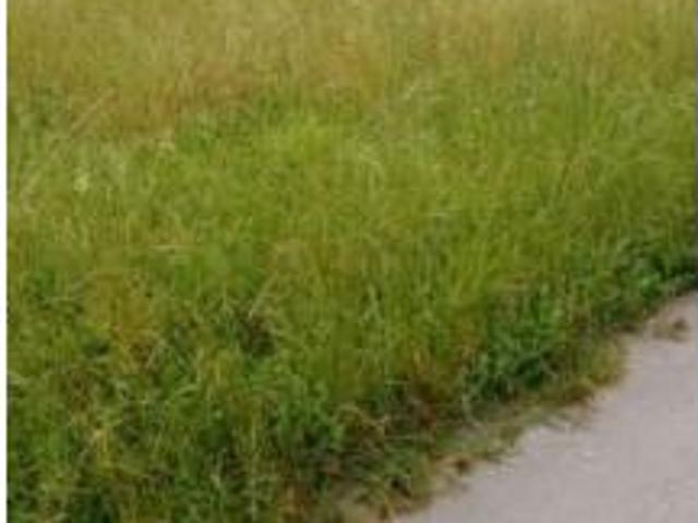 Terreno en venta en Arce, Piélagos