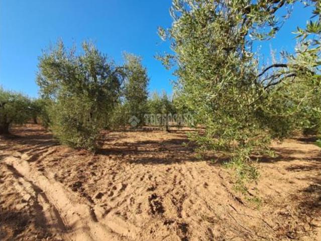 Terreno en venta en Pilas, Sevilla