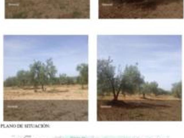 Terreno en venta en Polígono Las Baderas, Pilas