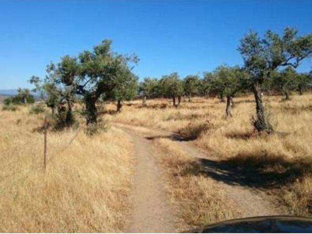 Terreno en venta en El Pilar, Plasencia