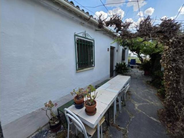 Terreno en venta en Procasa - Los Alamitos, Plasencia