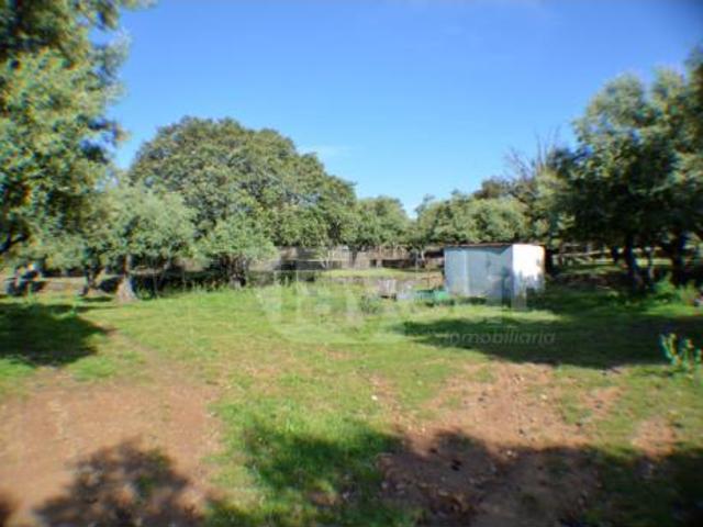 Terreno en venta en Plasencia, Cáceres