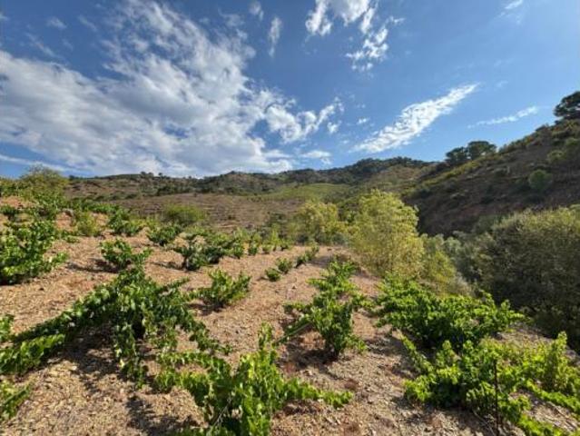 Terreno en venta en Porrera, Tarragona