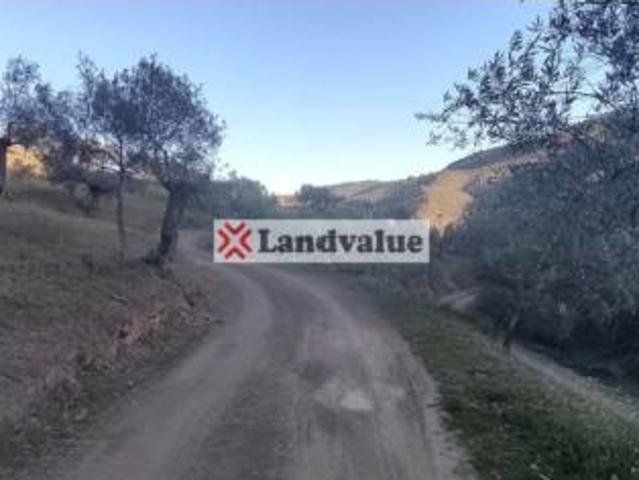 Terreno en venta en Pozoblanco, Córdoba
