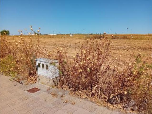 Terreno en venta en Pozuelo de Calatrava, Ciudad Real