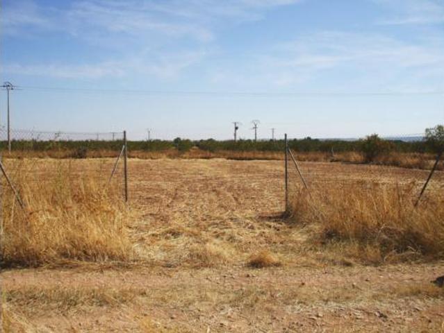 Terreno en venta en Pozuelo de Calatrava, Ciudad Real