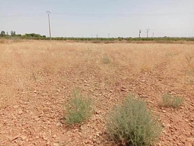Terreno en venta en Pozuelo de Calatrava, Ciudad Real