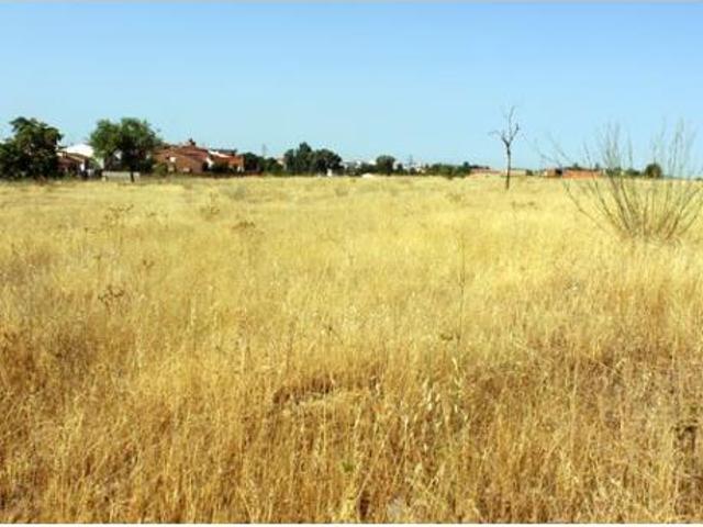 Terreno en venta en Puebla de Sancho Pérez