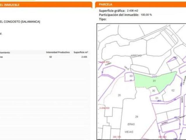 Terreno en venta en Puente del Congosto, Salamanca