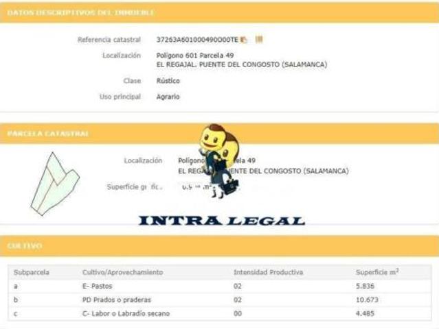 Terreno en venta en Puente del Congosto, Salamanca