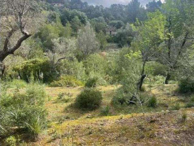 Terreno en venta en Galilea, Puigpunyent