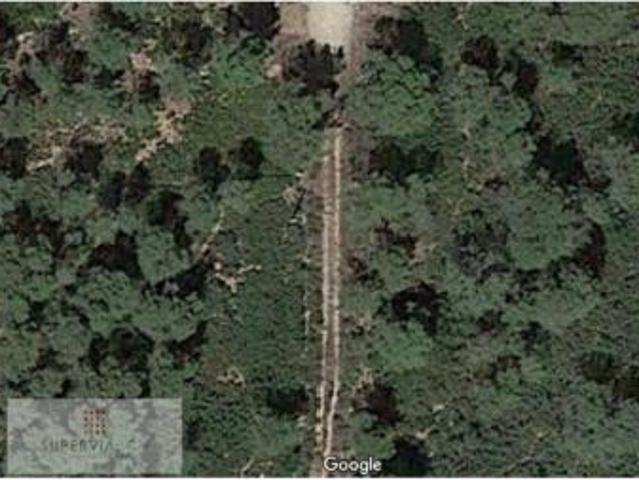 Terreno en venta en Querol, Tarragona