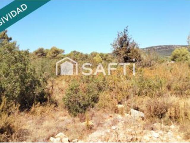 Terreno en venta en el Mas Gassons, Querol