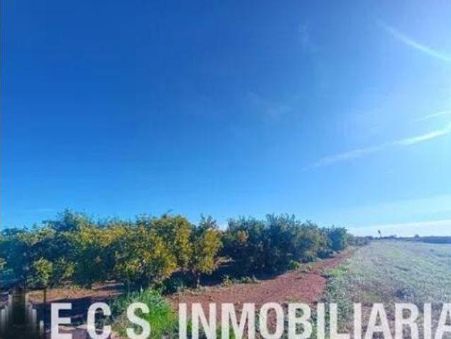 Terreno en venta en Bovalar, Massamagrell