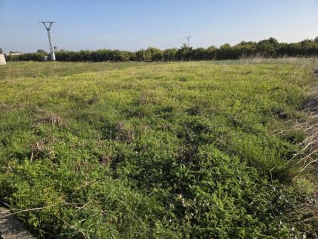 Terreno en venta en Rafelcofer, València / Valencia
